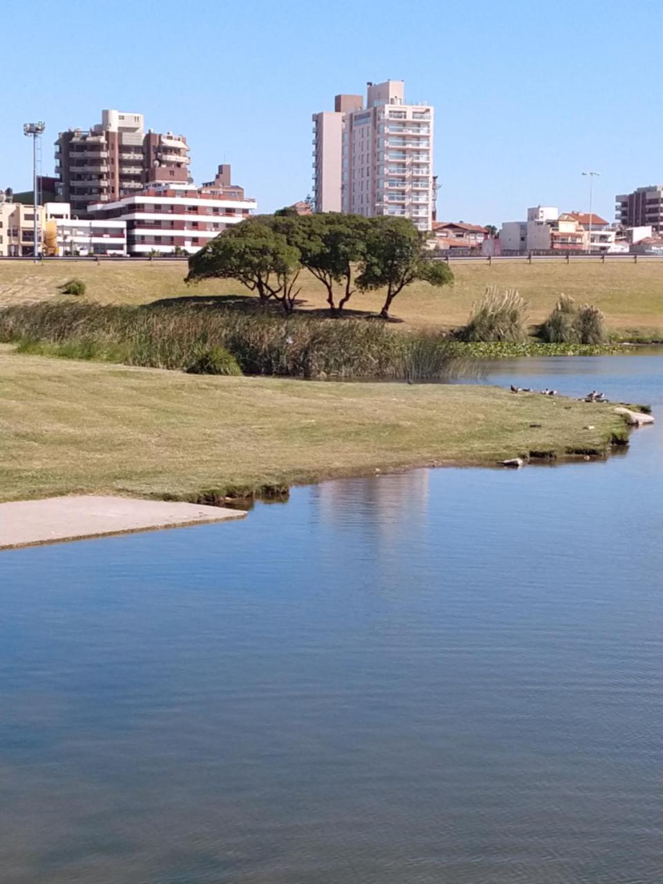 Edificio Juana Del Mar Leilighet Mar del Plata Eksteriør bilde